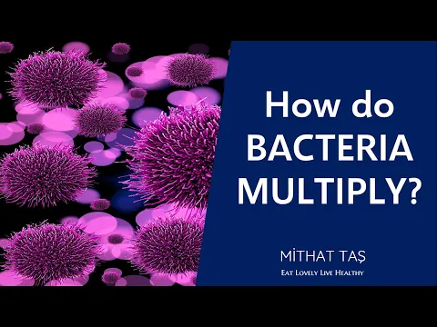 How Do Bacteria Multiply