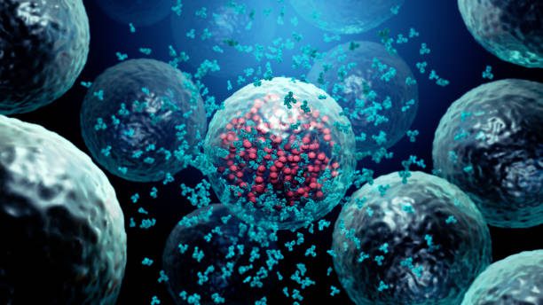 Are T Cells Antigen Presenting Cells?