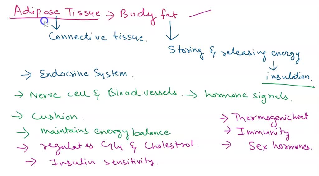 Why Is Fatty Tissue Considered a Double Whammy?